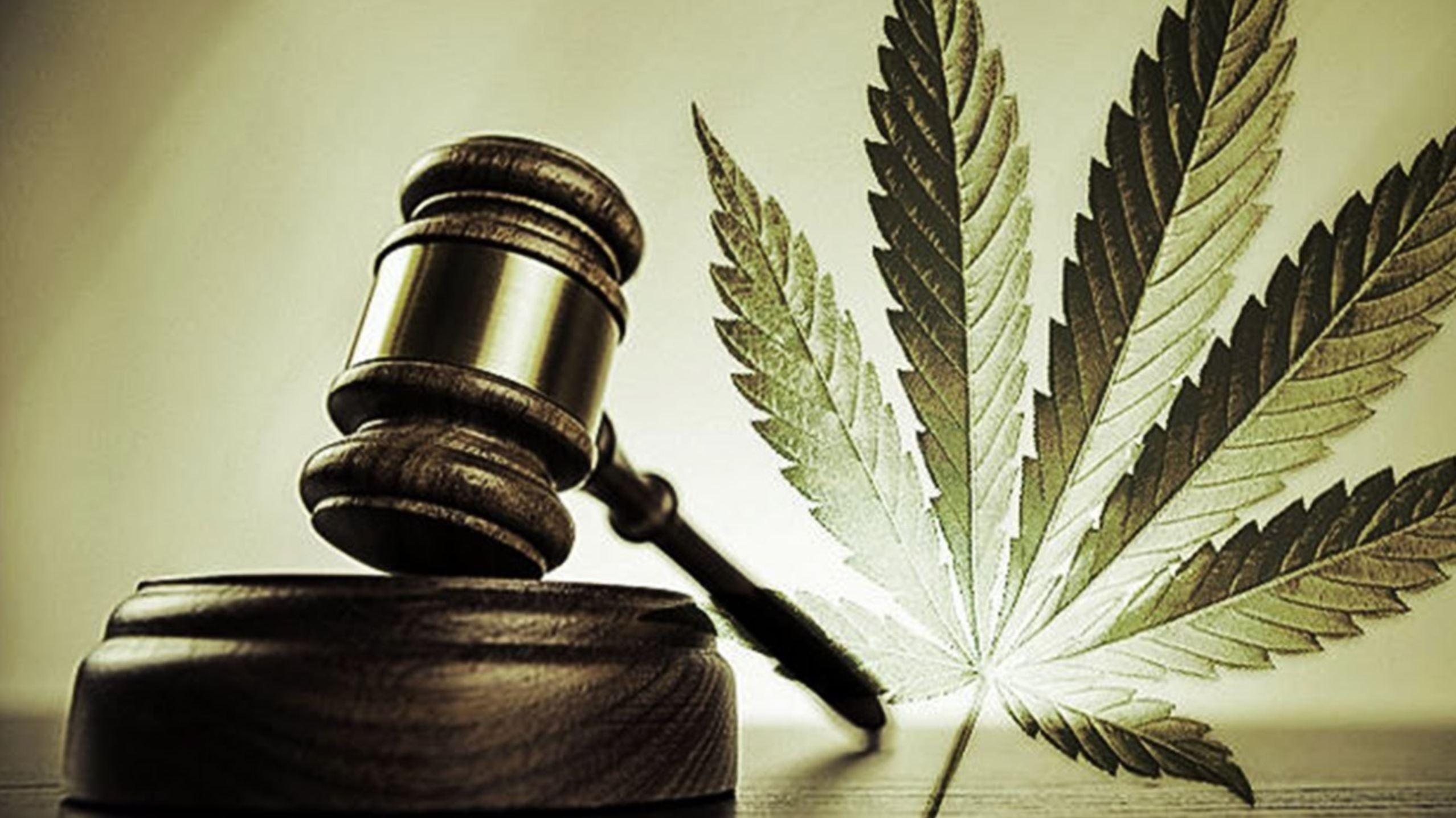 Cannabis light: una sentenza delle Sezioni Unite potrebbe mandare tutto in fumo.