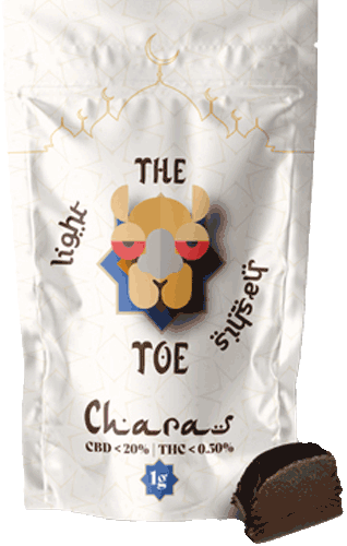 The Camel Toe / Charas Hash
