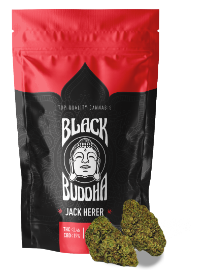 Black Buddha – Jack Herer