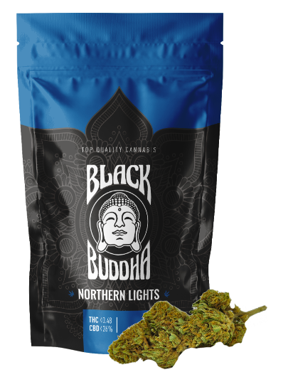 Black Buddha / Northern Lights