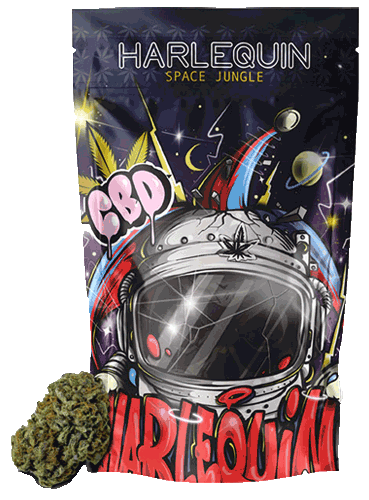 Space Jungle – Harlequin