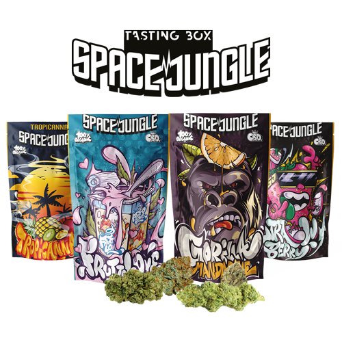 Space Jungle – INDOOR Tasting Box