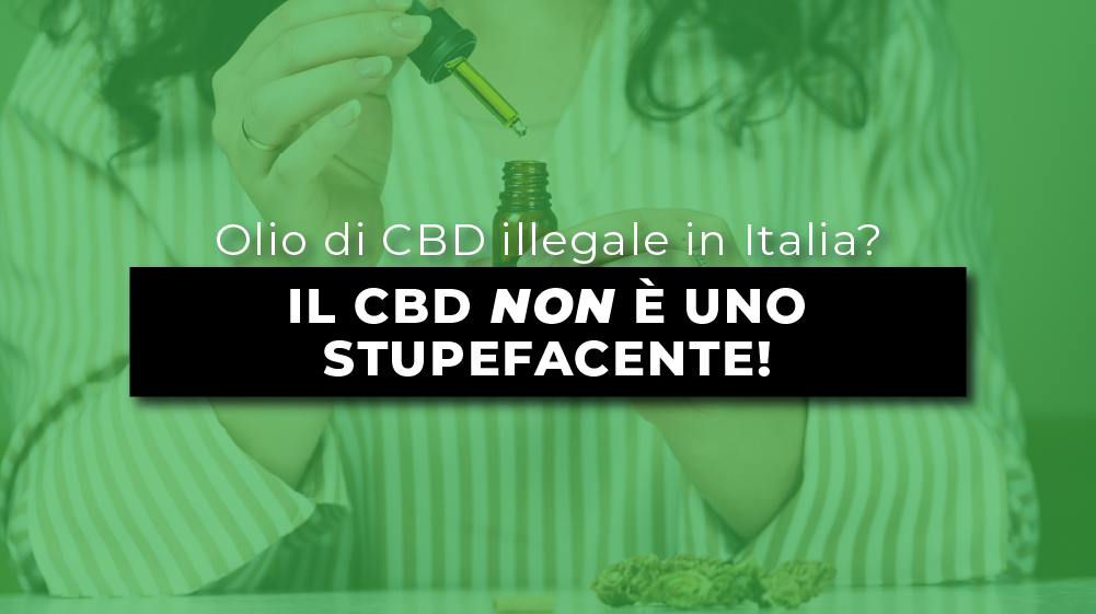 OLIO DI CBD ILLEGALE IN ITALIA?  